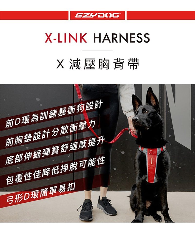EZY3905-251 X-LINK  HARNESSＸ雙制胸背帶 - XL