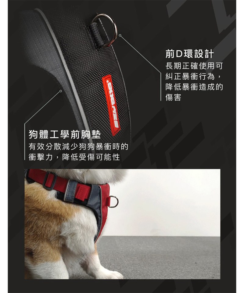 EZY3905-251 X-LINK  HARNESSＸ雙制胸背帶 - XL