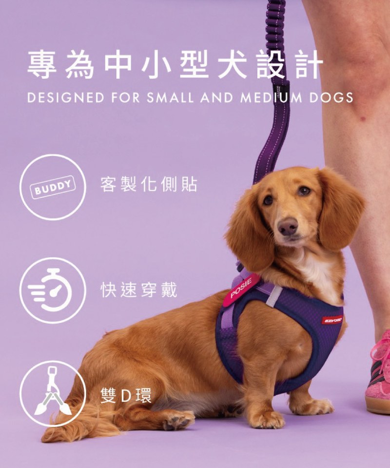 EZY3908-251 動能透氣胸背帶 ( L / XL )