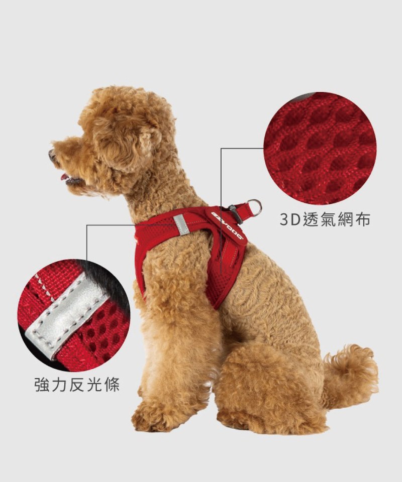 EZY3908-251 動能透氣胸背帶 ( L / XL )