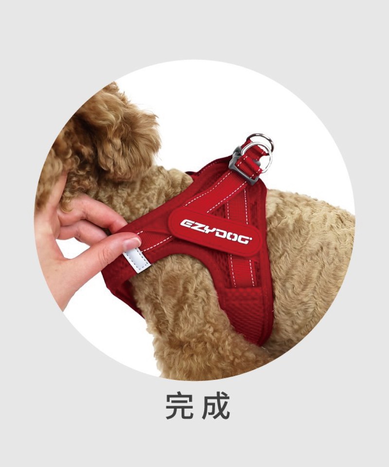 EZY3908-251 動能透氣胸背帶 ( L / XL )