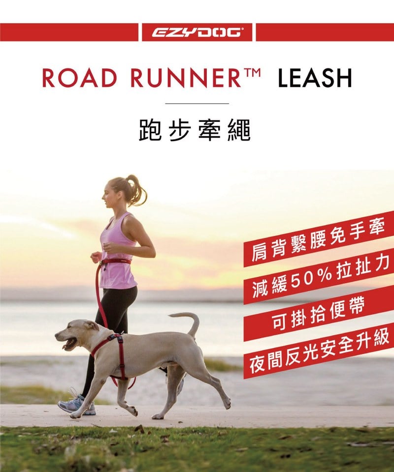 EZY3915-251 RUNNER COLLECTION 跑步牽繩