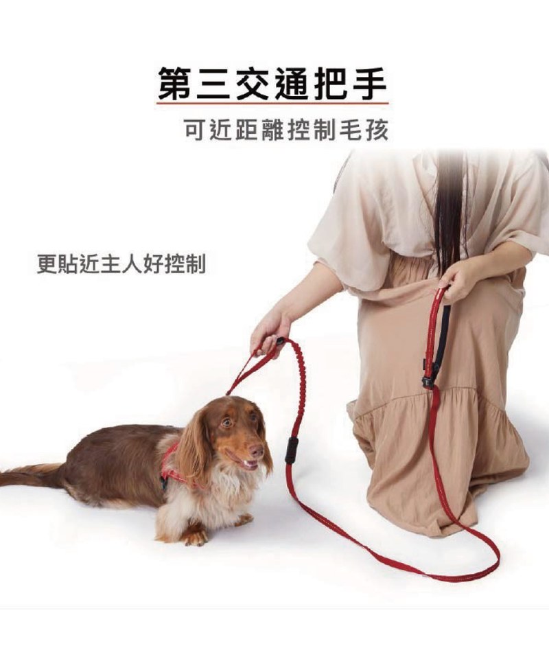EZY3917-251 RUNNER COLLECTION 輕巧版跑步牽繩