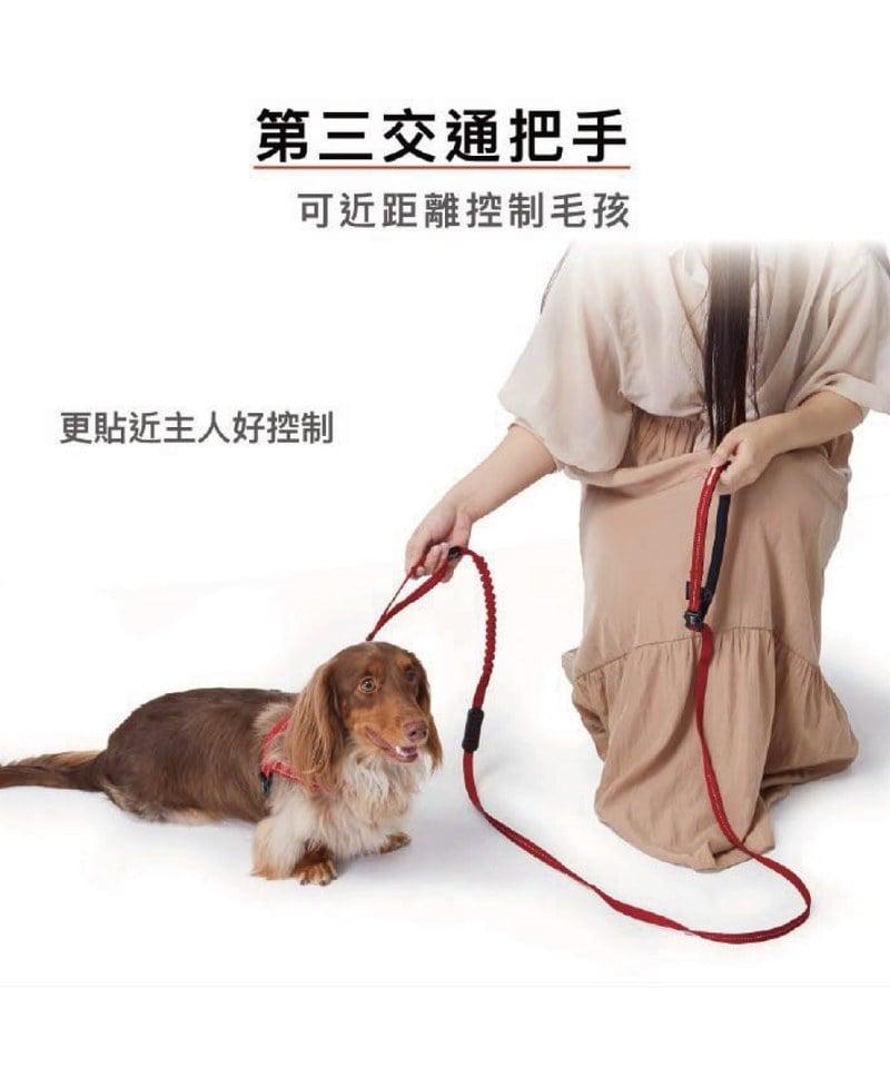 EZY3918-251 RUNNER COLLECTION 輕巧版跑步牽繩