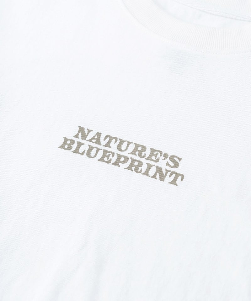 FTM0133-251 印花上衣 FOREST TEE