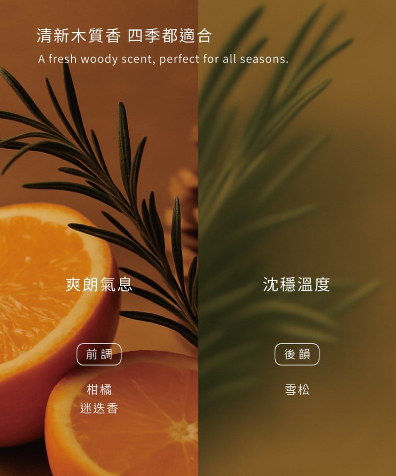 PLN3915-251 PLAIN淨化沐浴露
