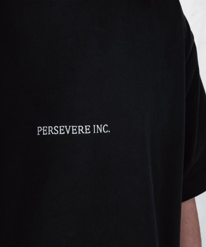 PSV0120-252 寬短廓形T恤 BOXY T-SHIRT
