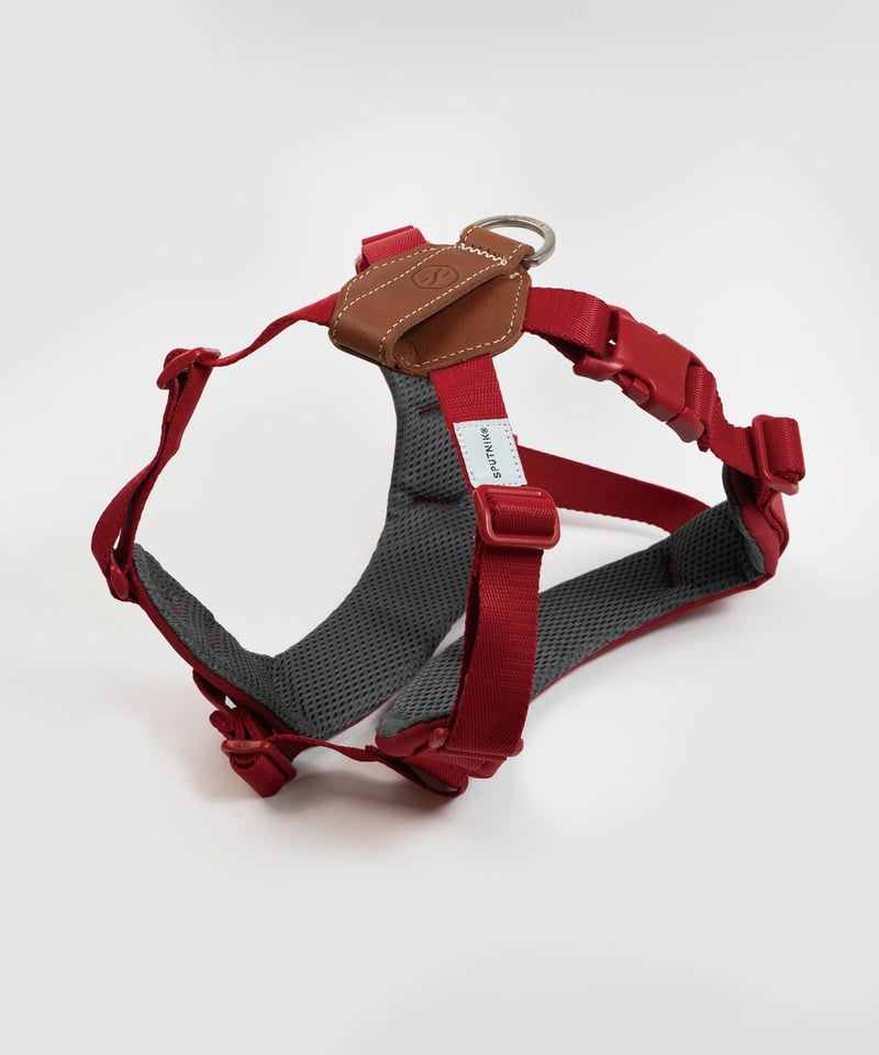 SPN3904-242 胸背帶 Harness L